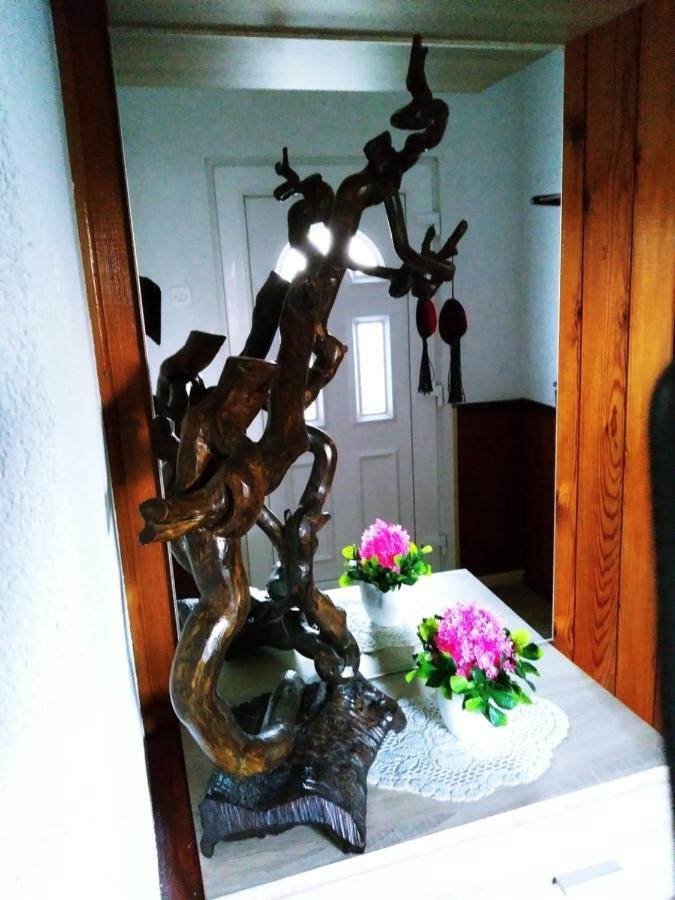 Apartment Phoenix No.12 コレニツァ エクステリア 写真